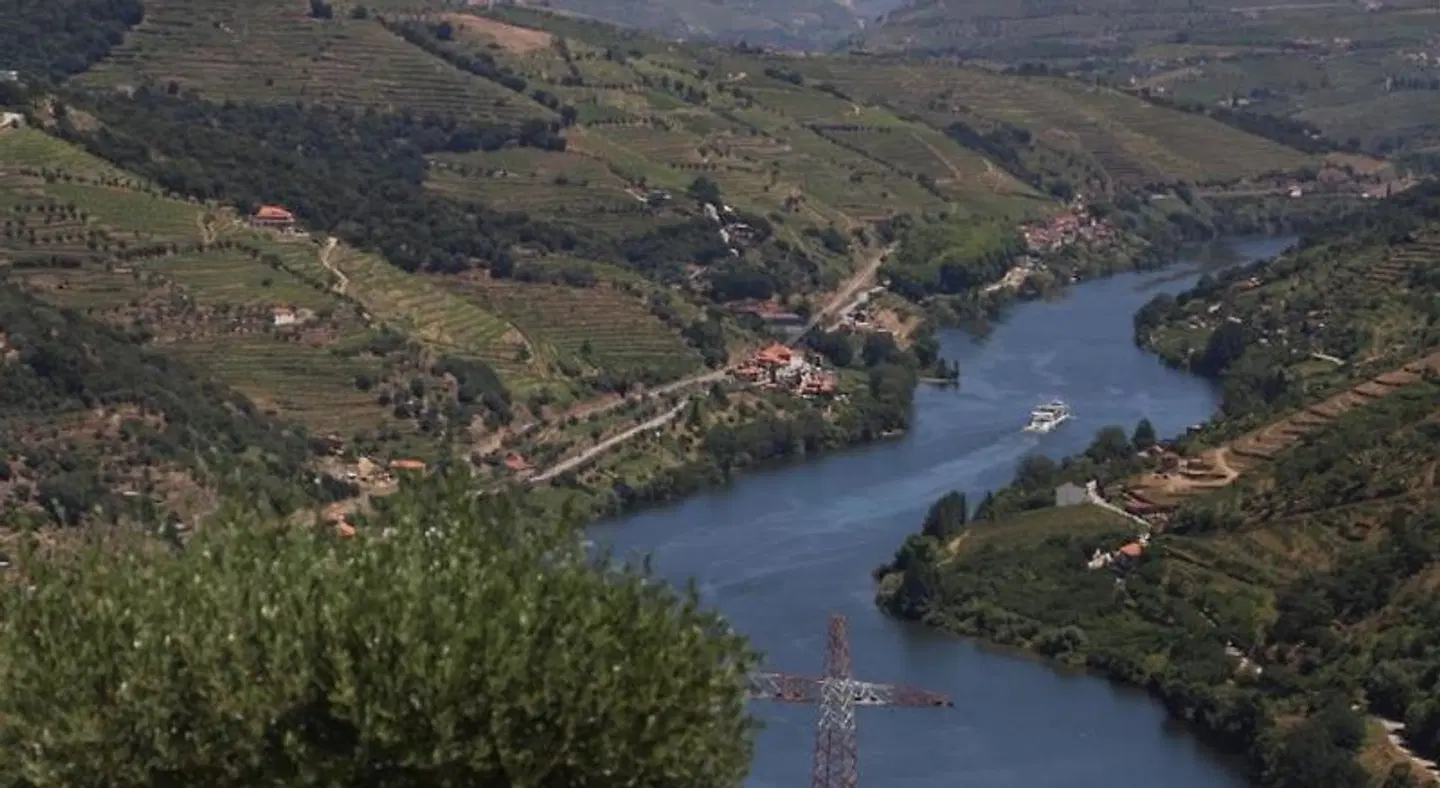 Casa Vale do Douro LANDSCAPE
