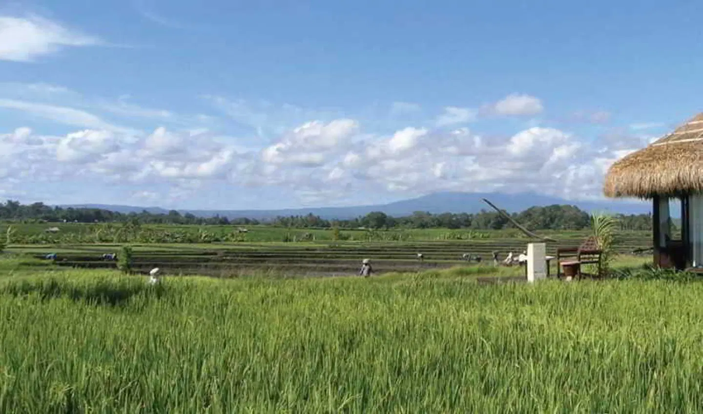 WakaGangga LANDSCAPE