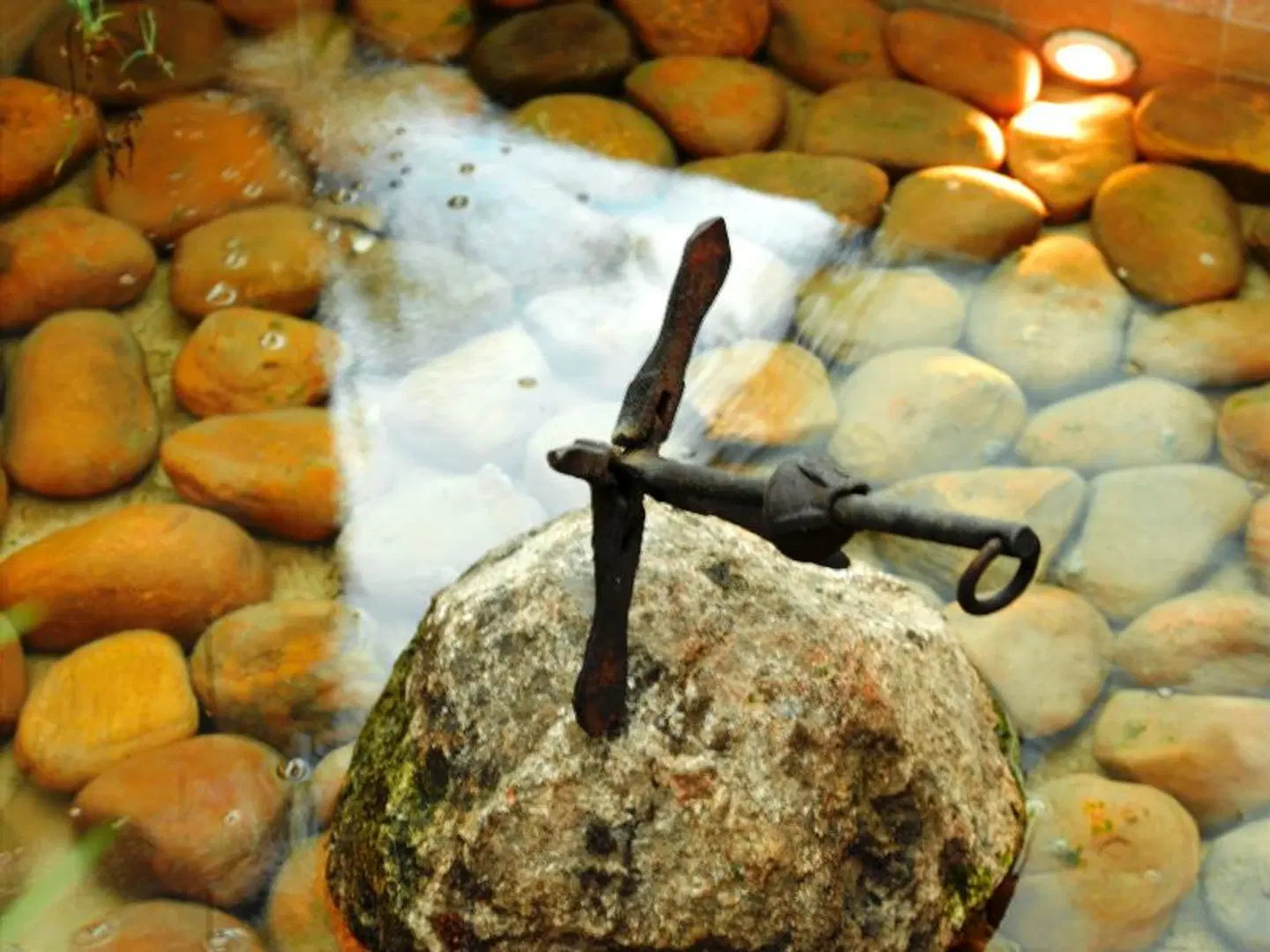 htop Palm Beach & SPA Tiere