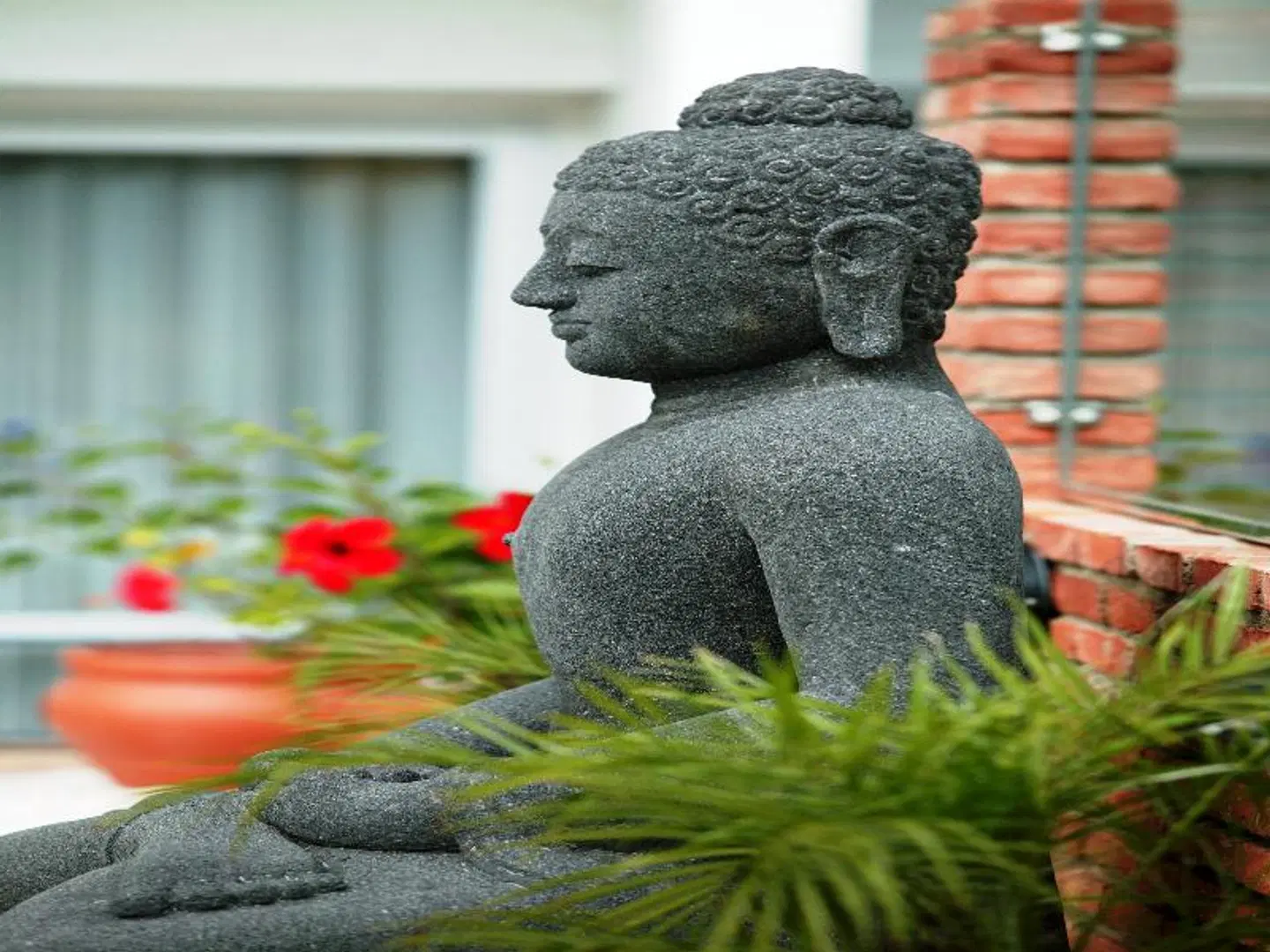 htop Palm Beach & SPA Tiere