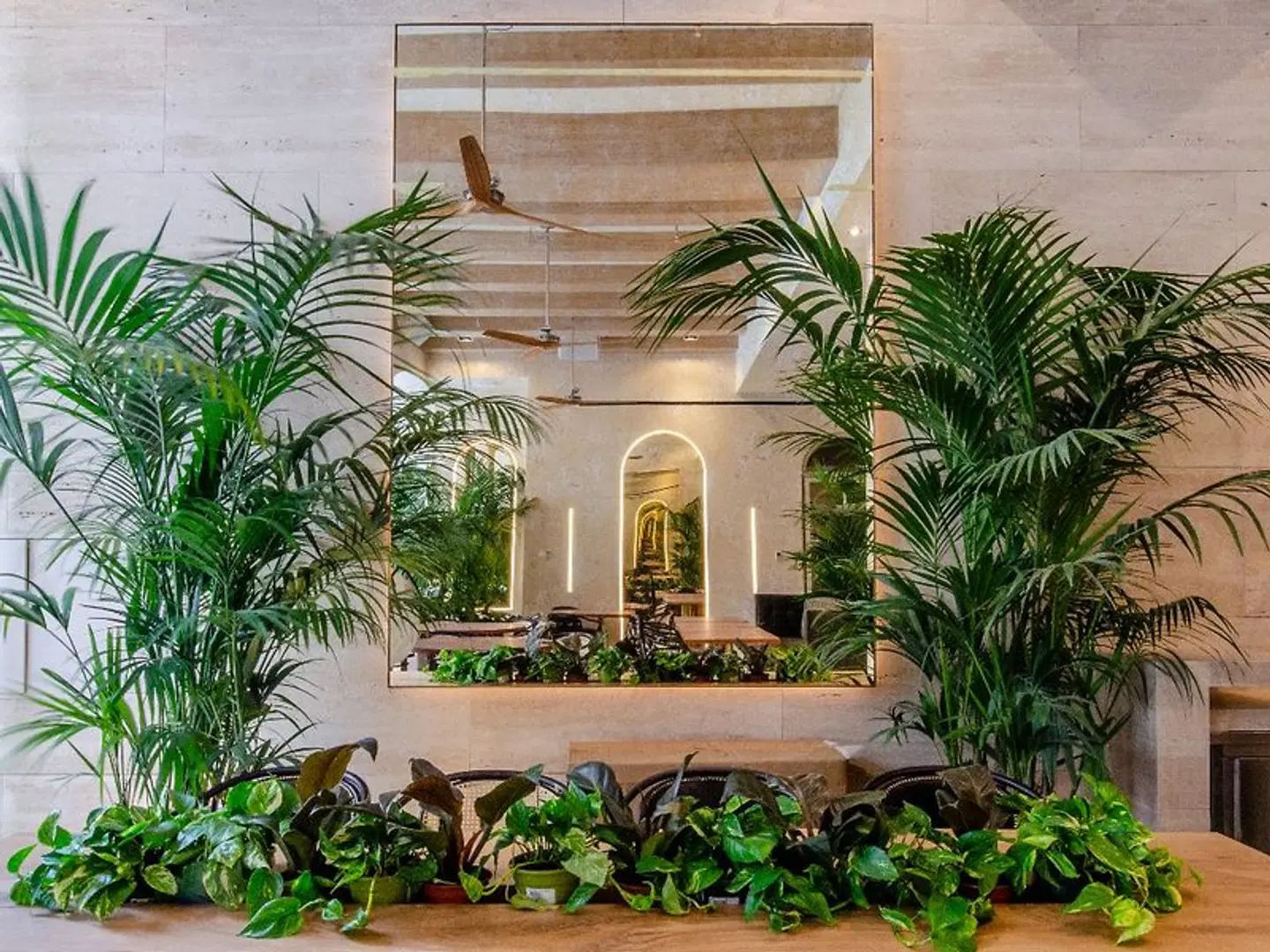 Brown's | Avenue Hotel Garten