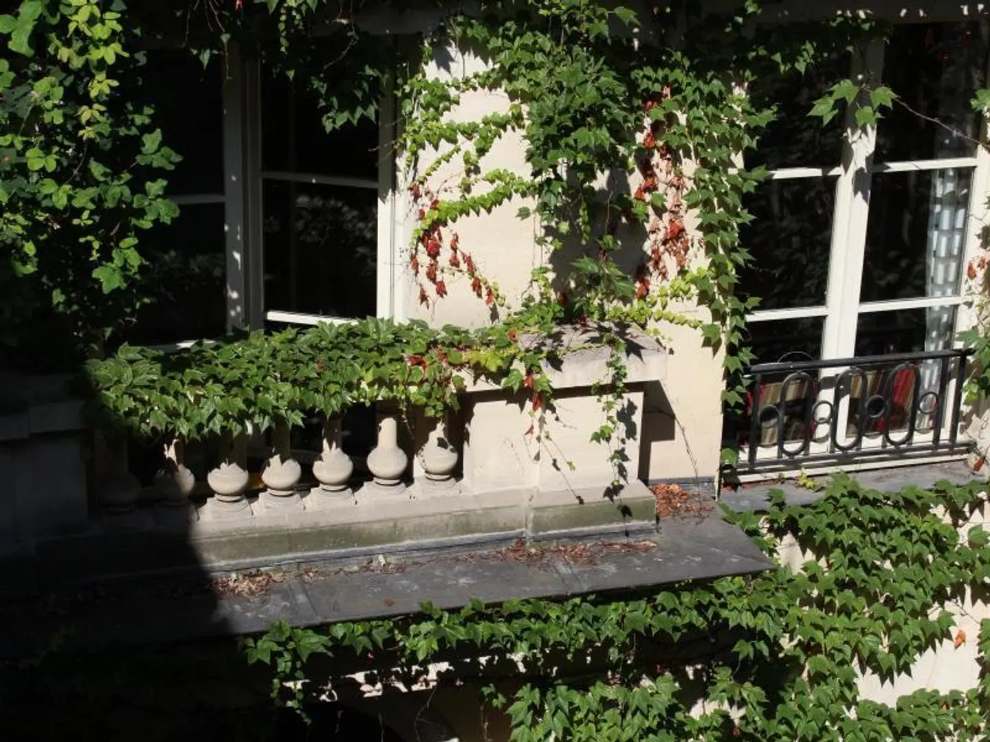 Relais Saint Sulpice Tiere