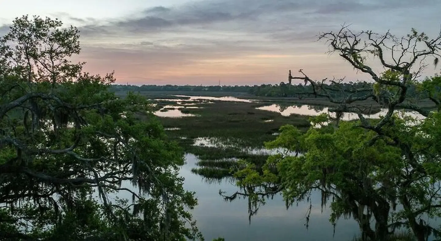 Hampton Inn Beaufort LANDSCAPE