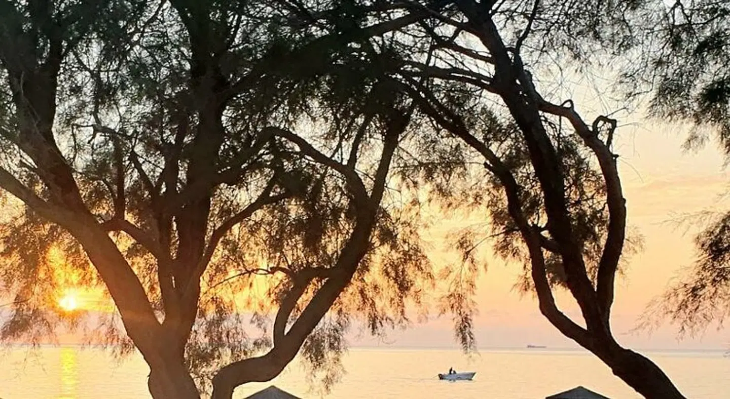 Arion Bay LANDSCAPE