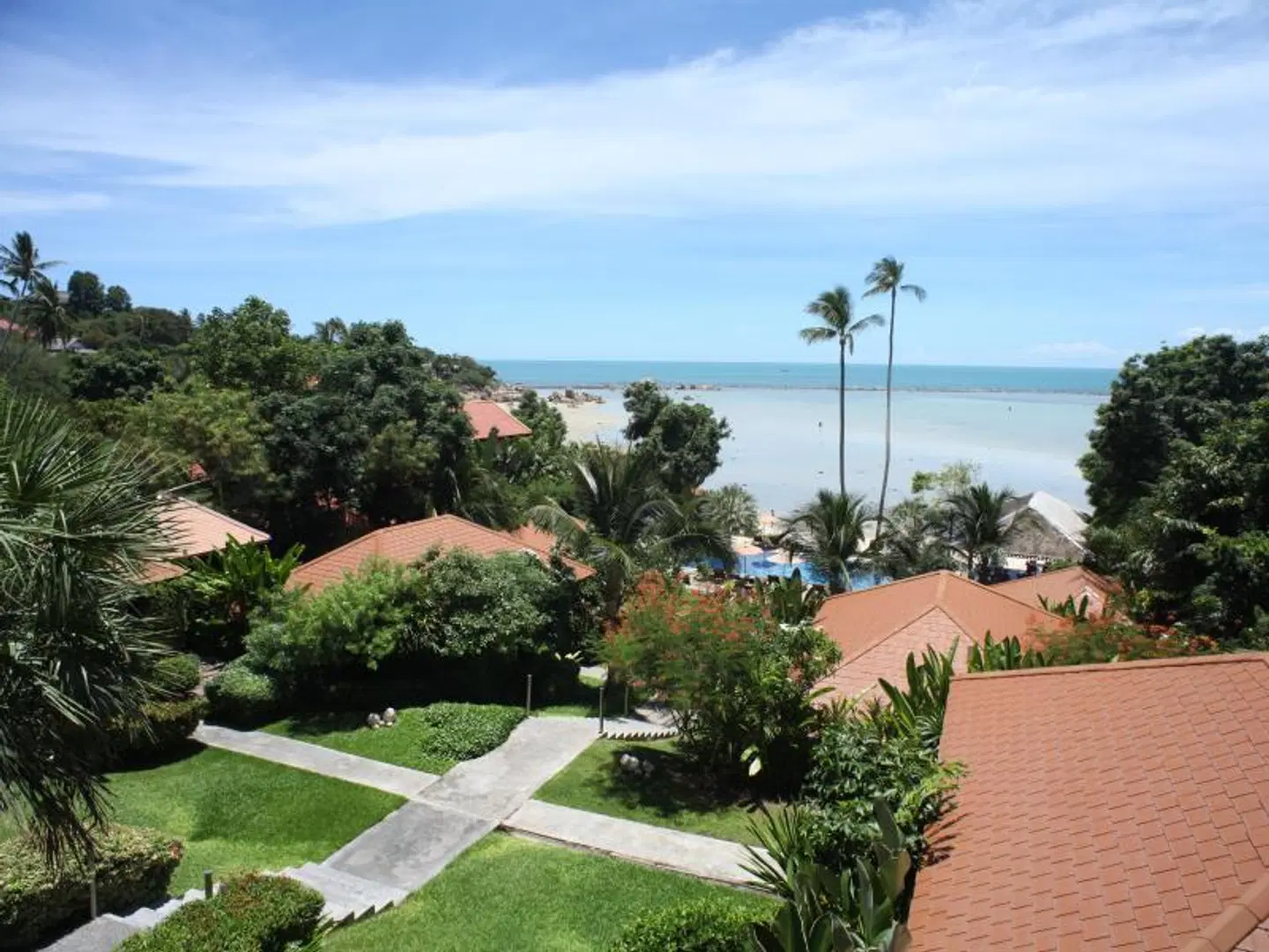 Palm Coco Mantra Garten