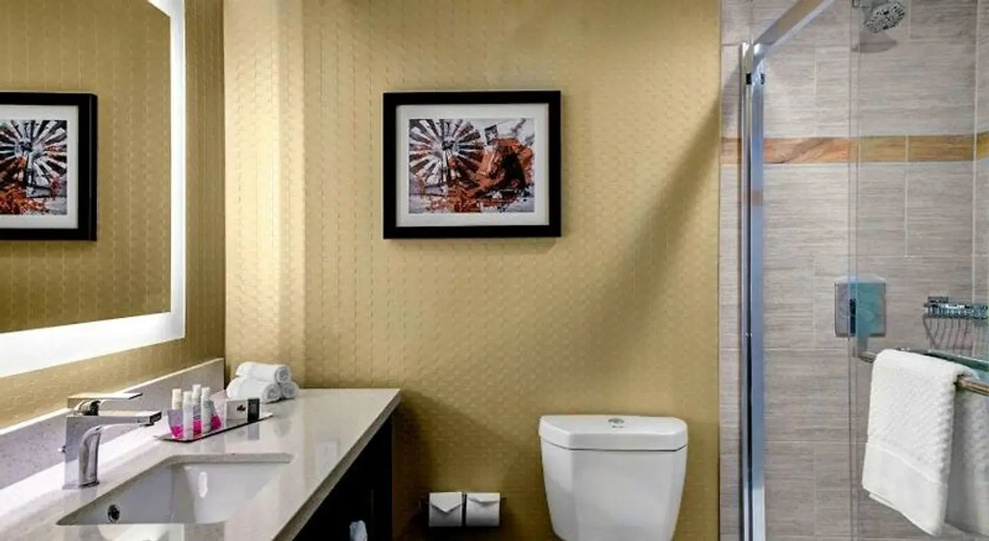DoubleTree by Hilton Hotel Arlington DFW South Badezimmer