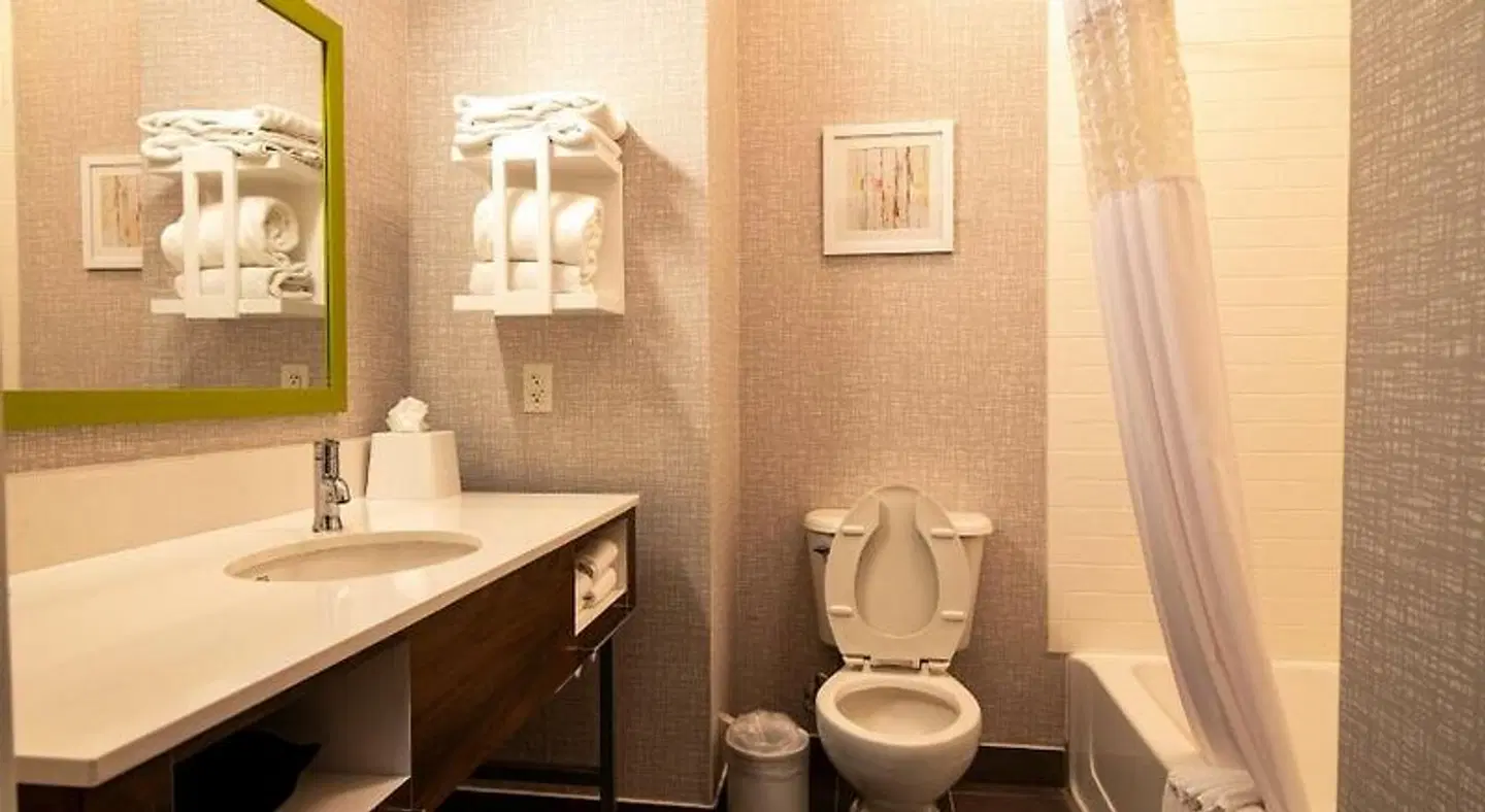 Hampton Inn & Suites College Station/US 6-East Bypass Badezimmer
