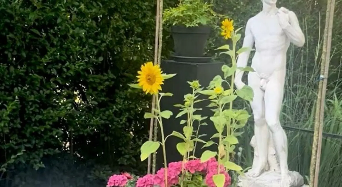 Huyze Peppins Garten