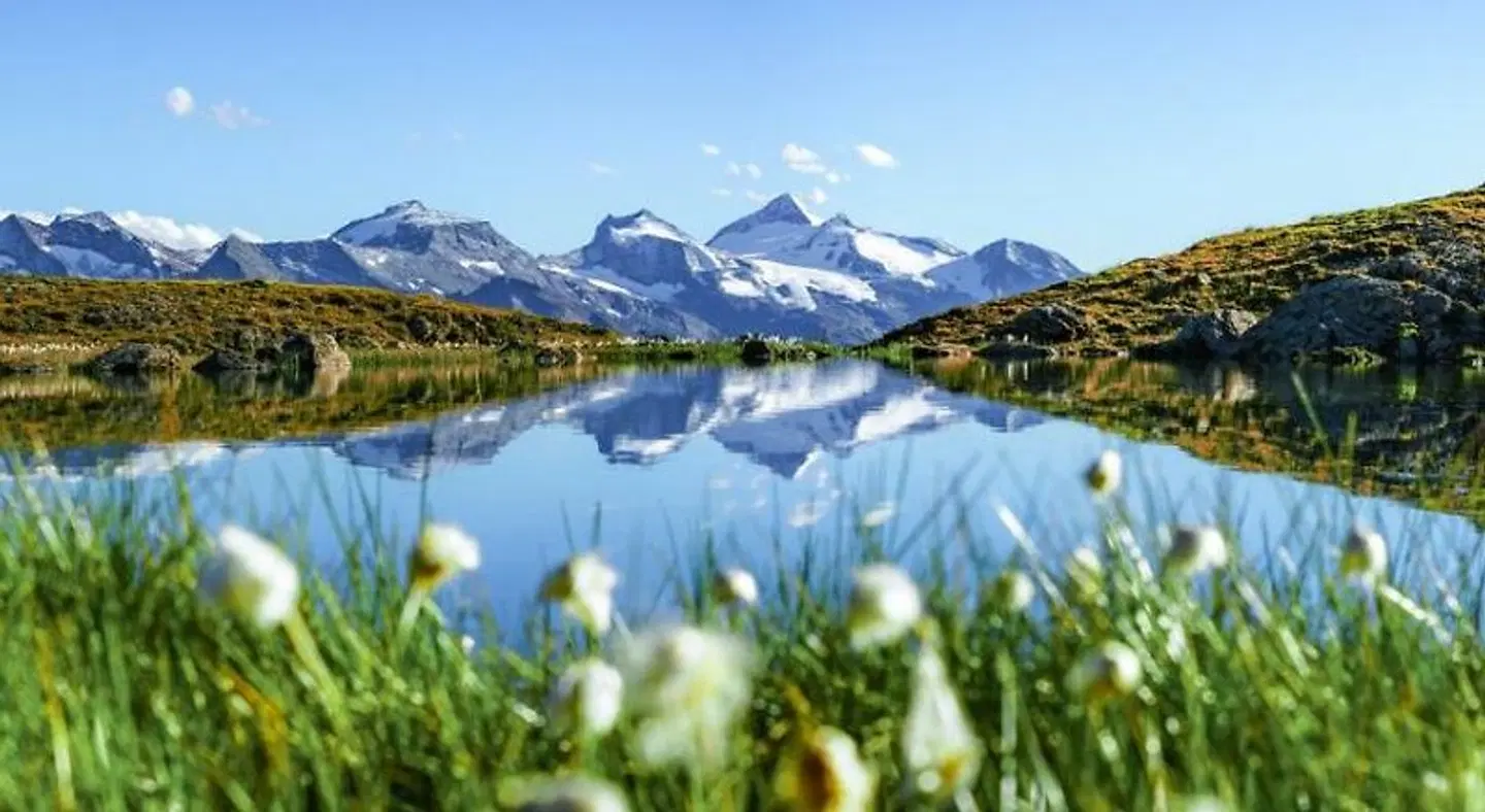 Jakober LANDSCAPE