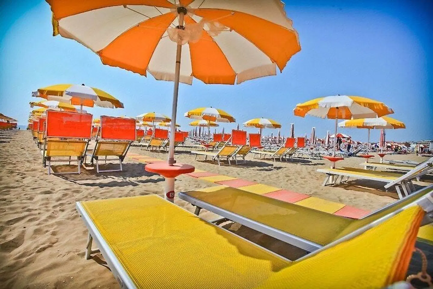 Pasha SPORTS_AND_LEISURE