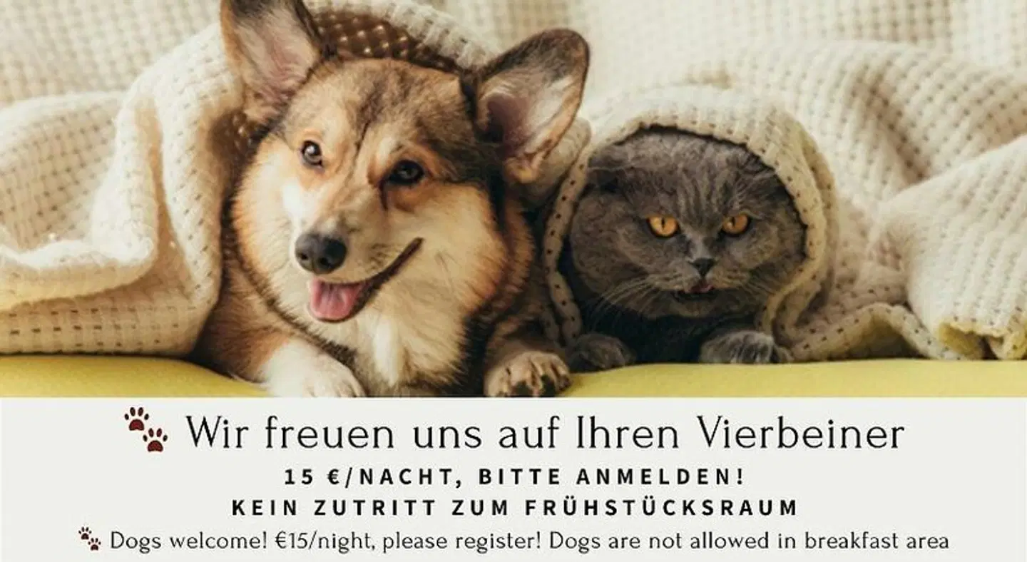 Ambient am Europakanal Tiere