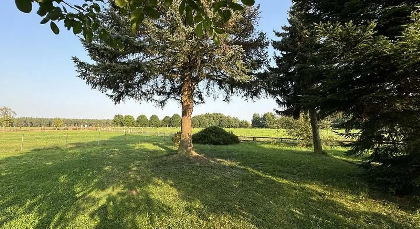 Zur Wildgans Garten