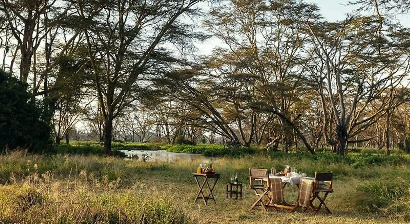 JW Marriott Mount Kenya Rhino Reserve Safari Camp Tiere