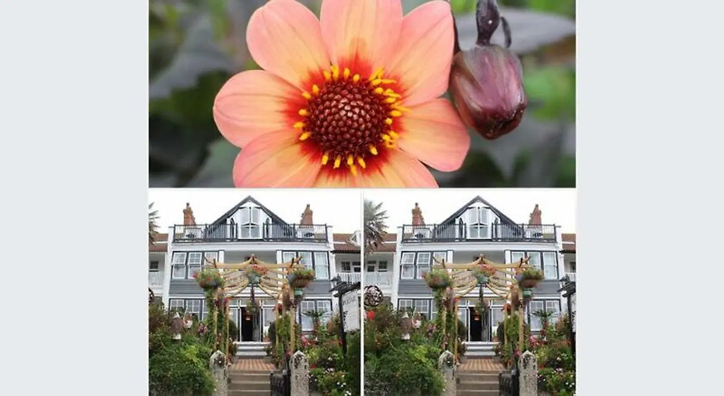 Poltair Guest House Garten
