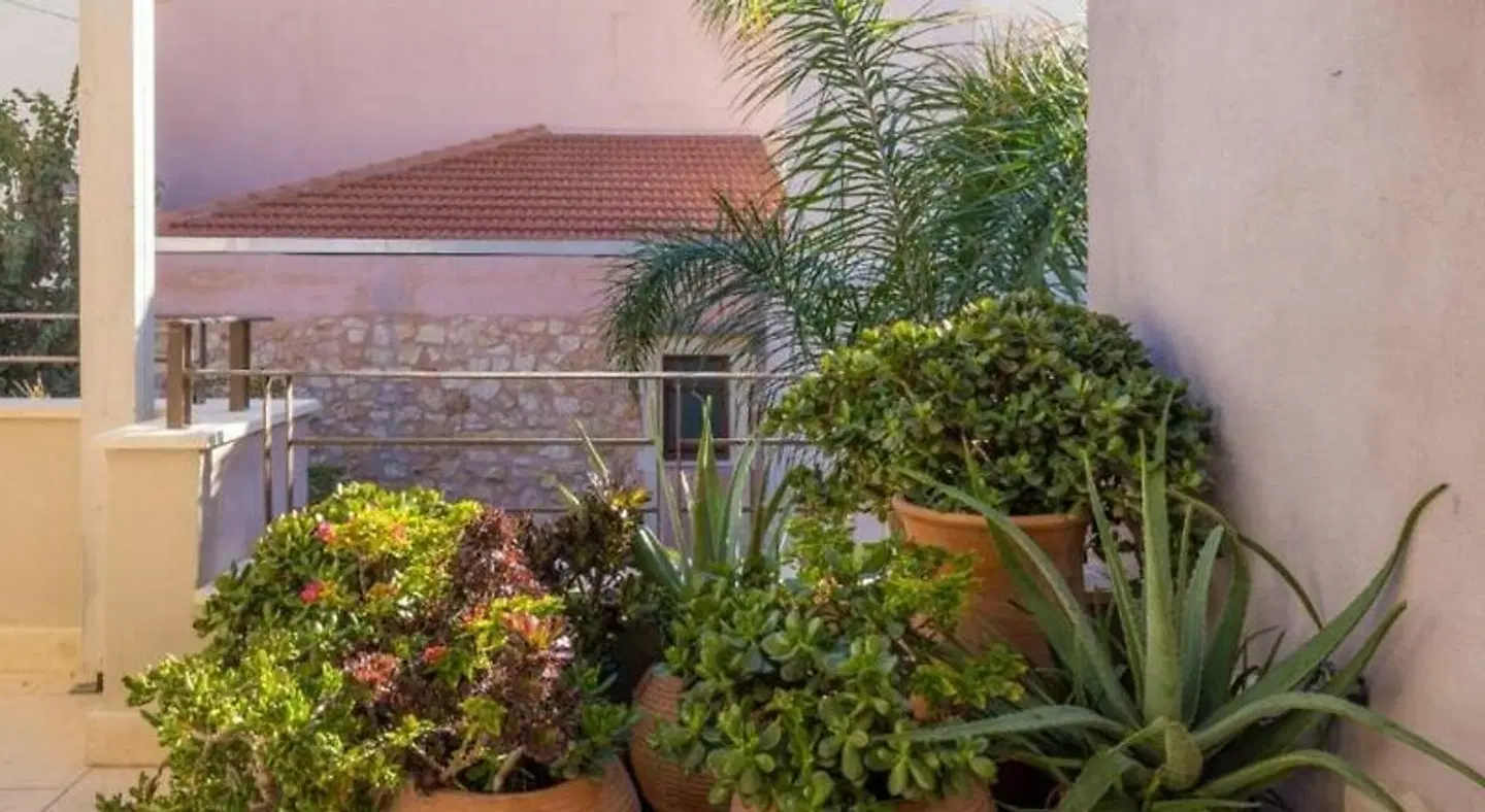 Rimondi Estate Garten
