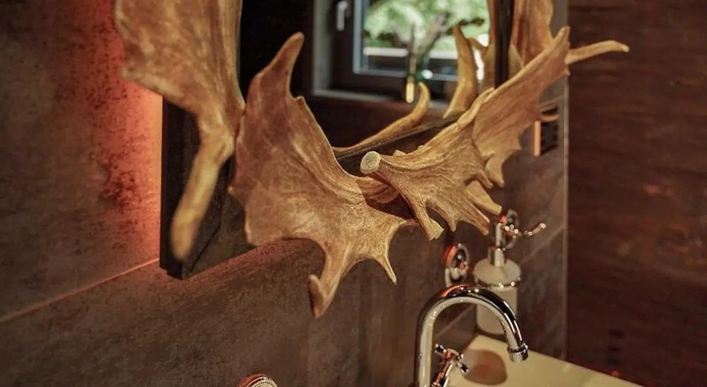 Timberjacks Siegen Motel Tiere