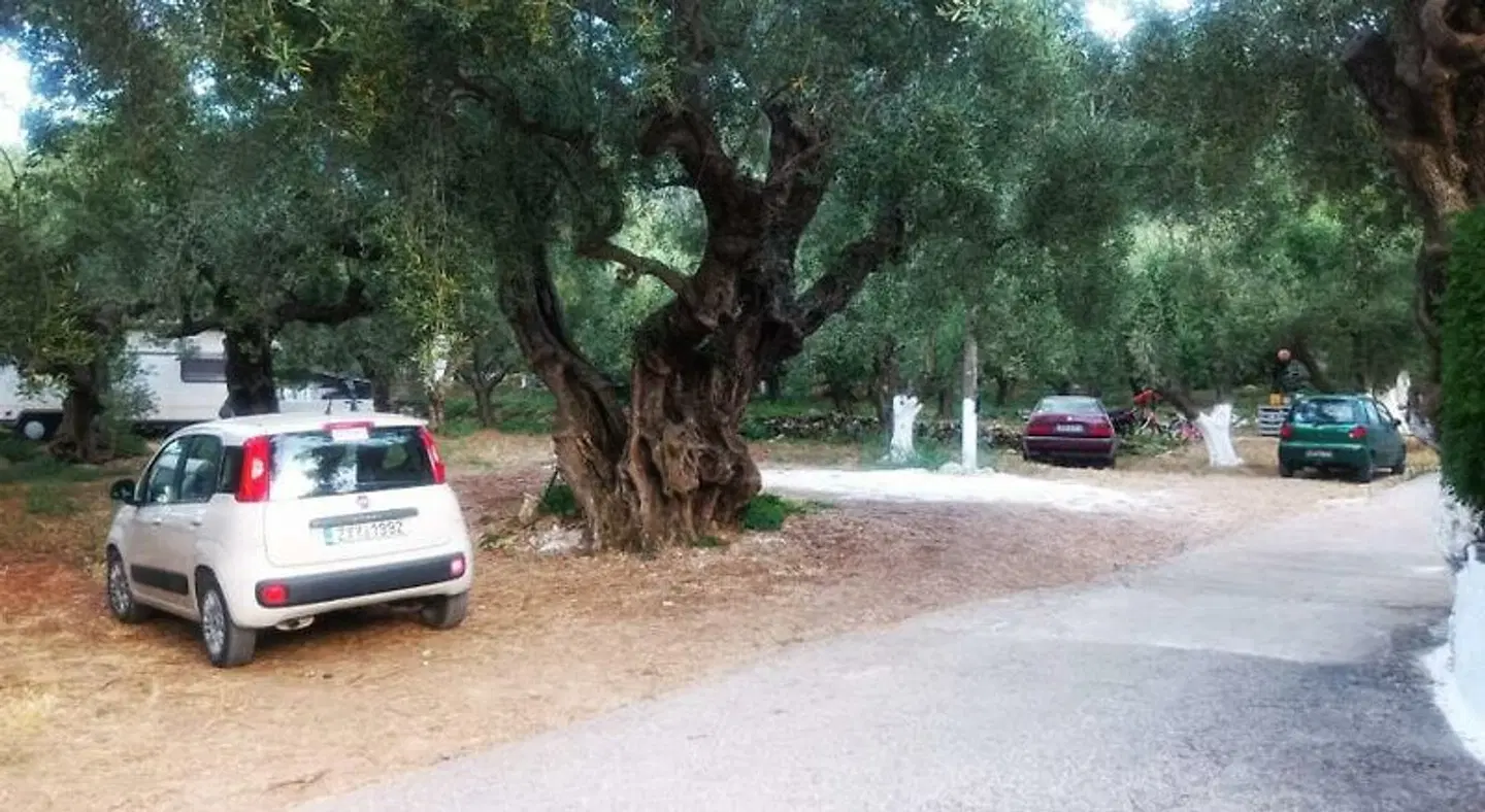 Nikos Studios Garten
