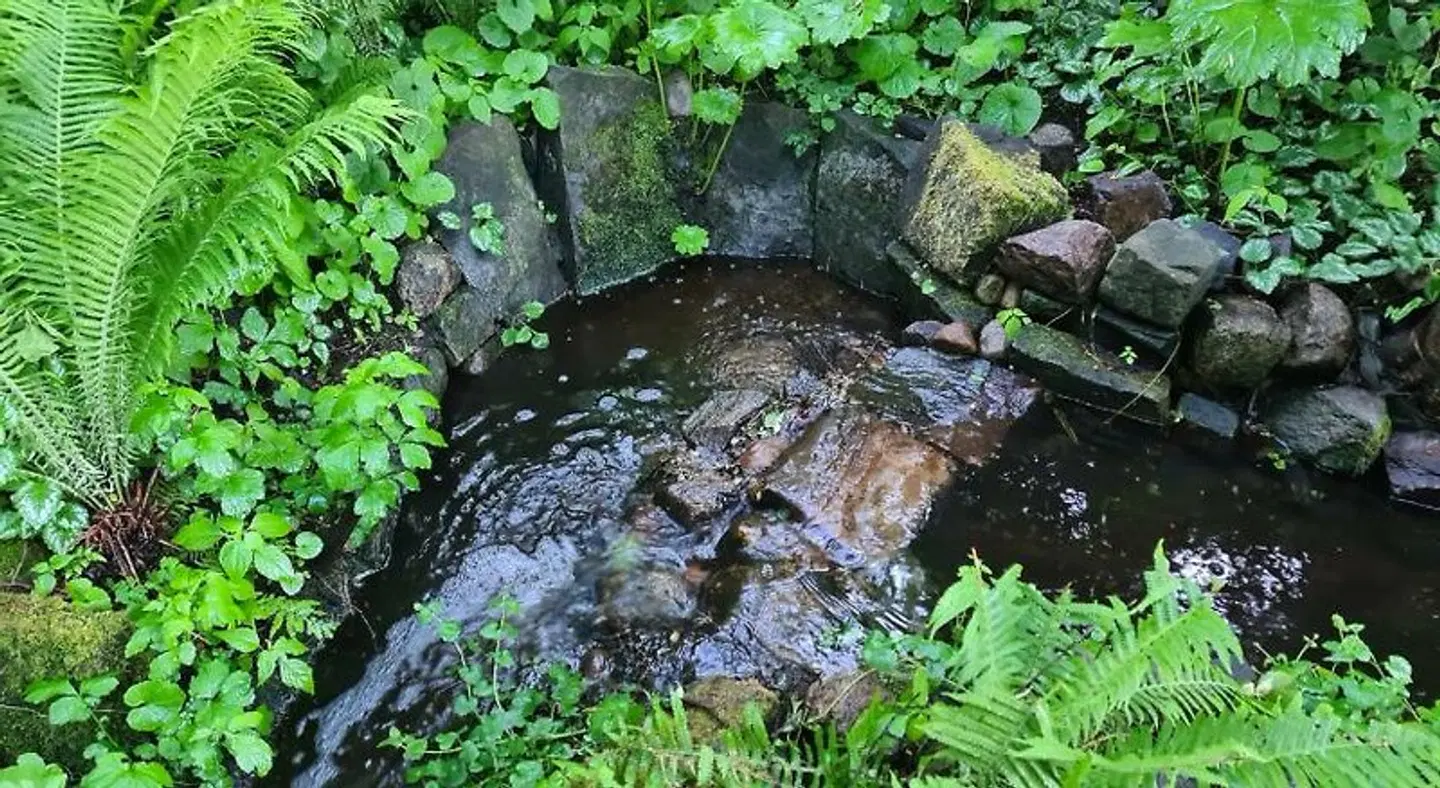 Gradierwerk Sülze Tiere