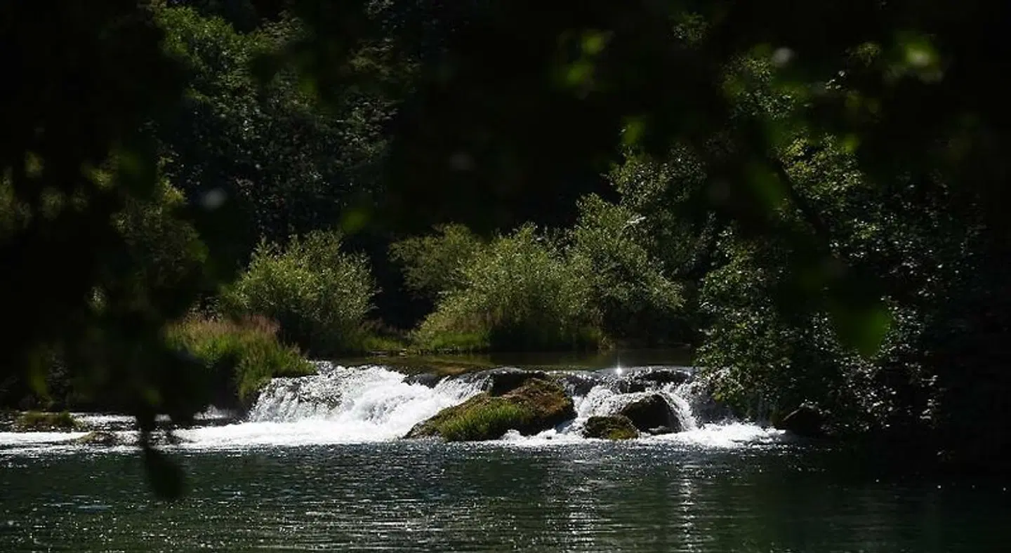Bed & Breakfast Zeleni Kut LANDSCAPE