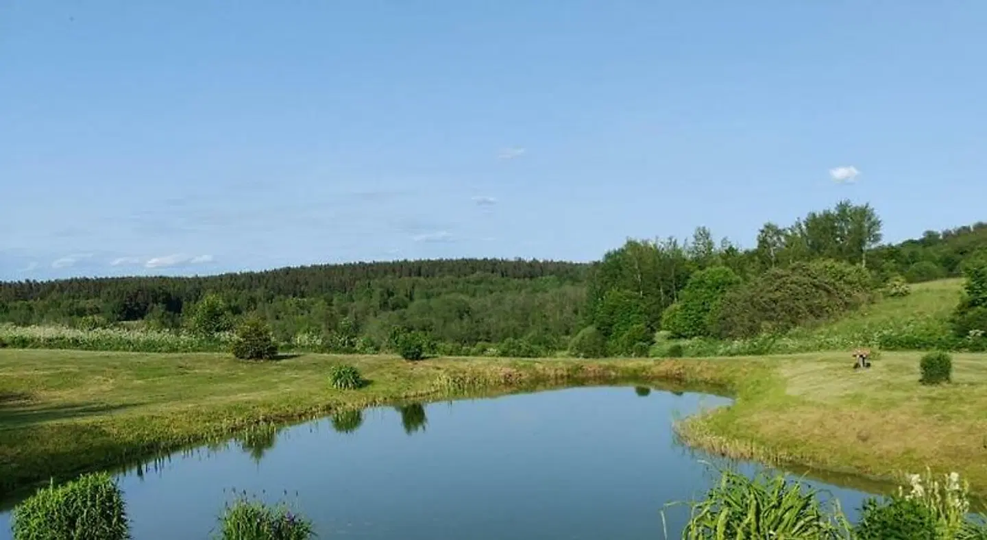 Zalioji LANDSCAPE