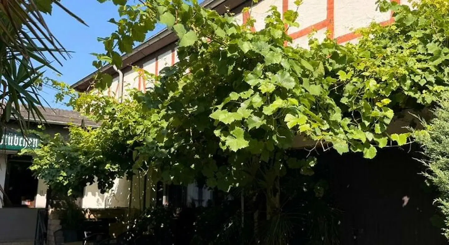 Zum Kellerstübchen Garten