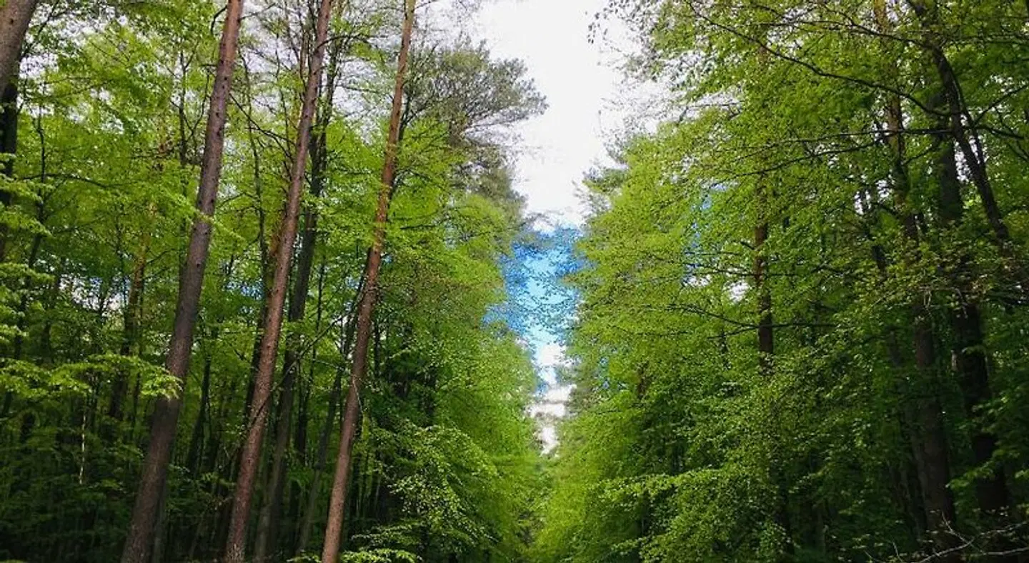 Röblinseeterrassen LANDSCAPE