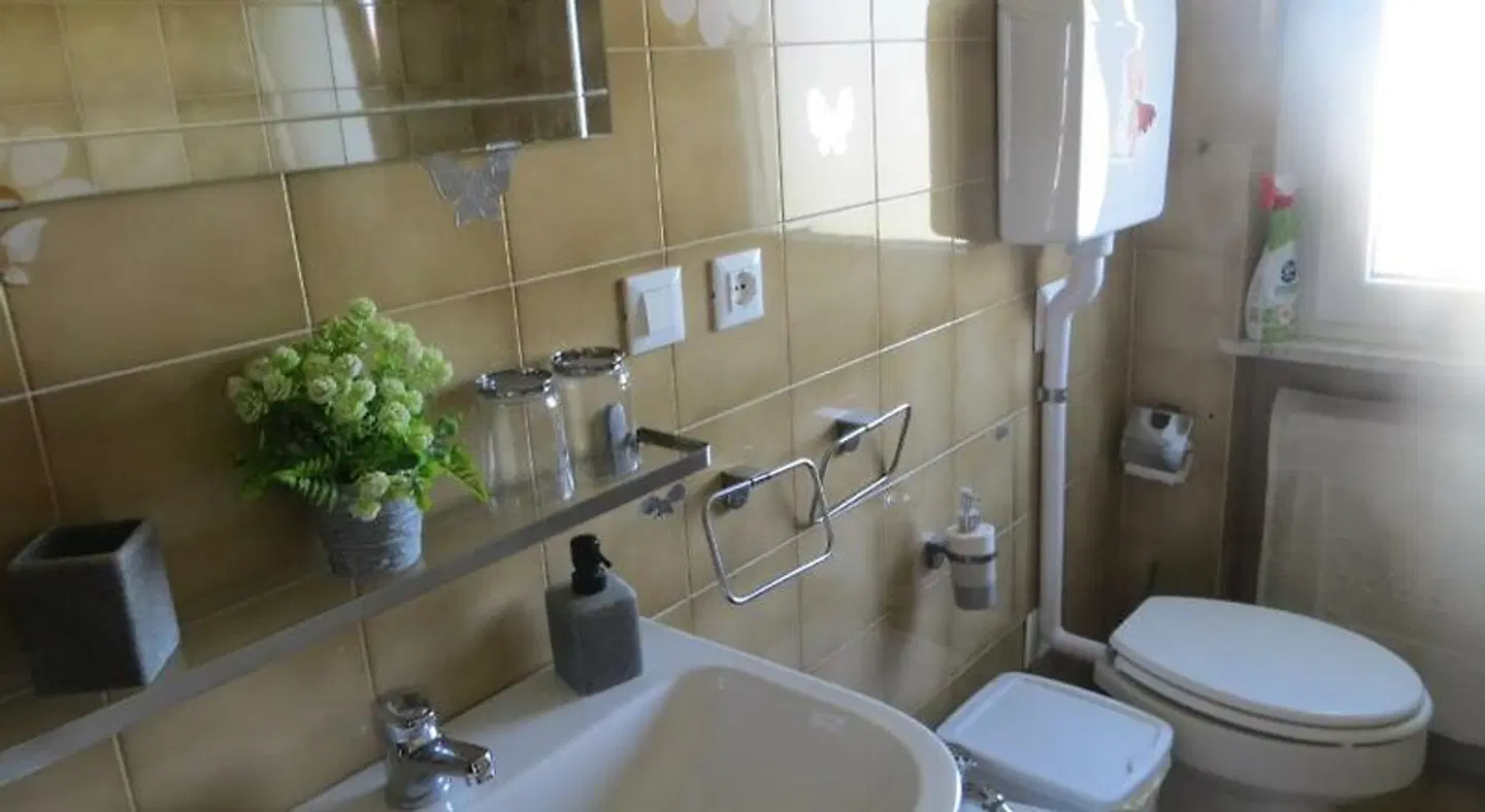 5 Palme Badezimmer