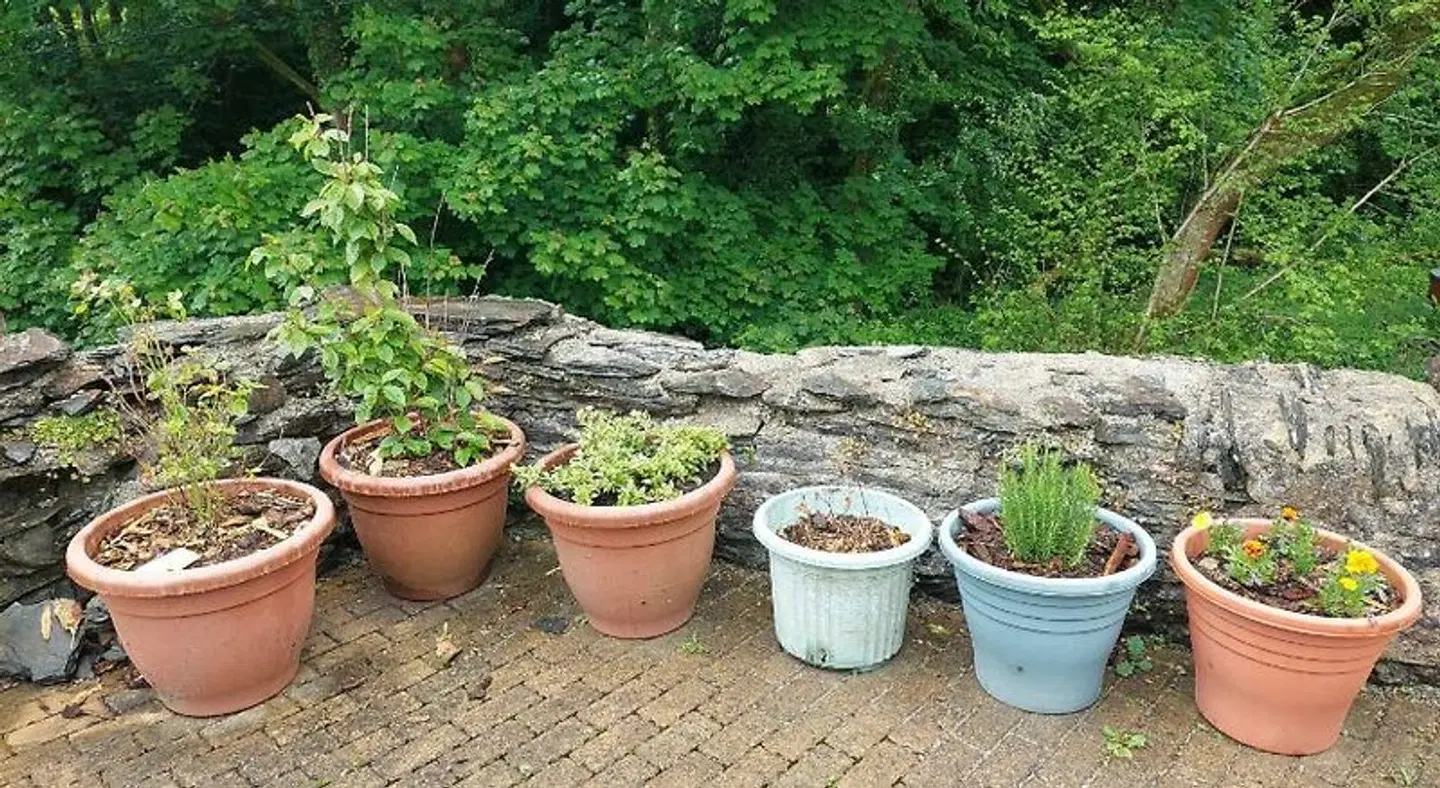 Old School Bed and Breakfast Garten