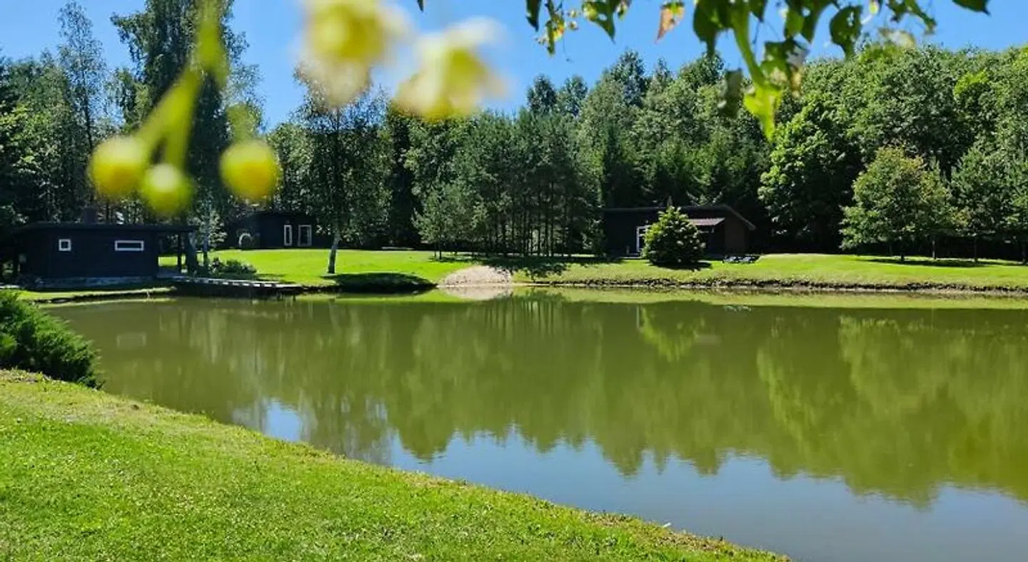 Aliai Garten