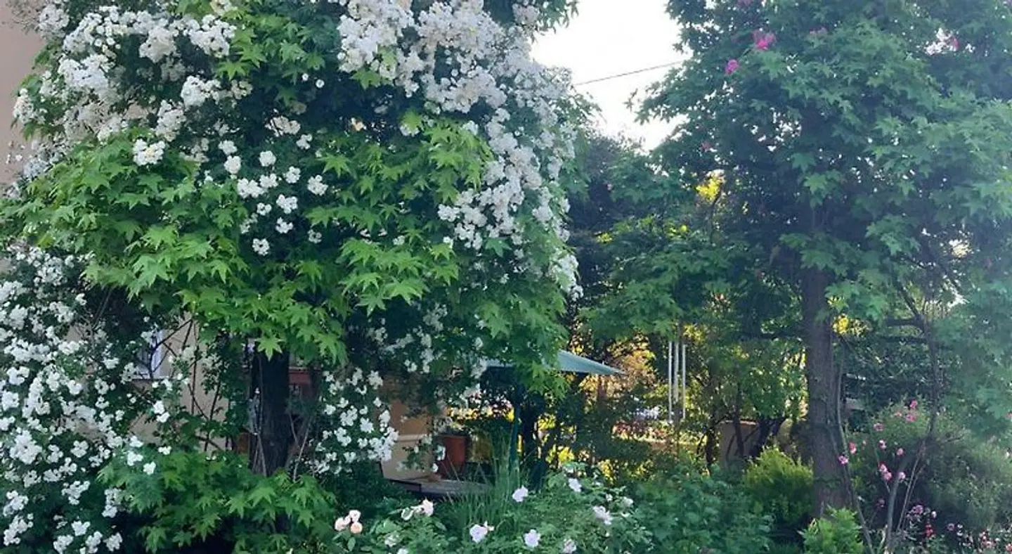Casa Stucky Garten