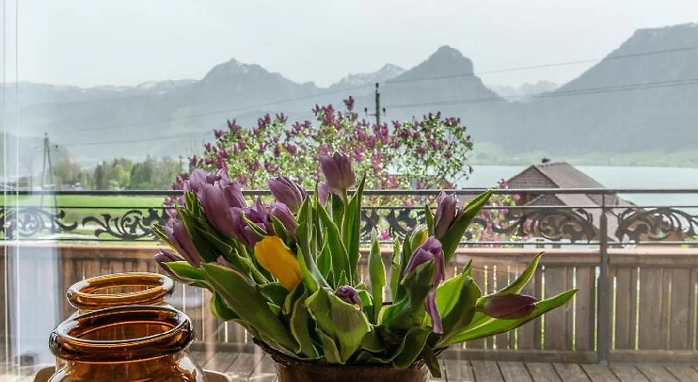 The View LANDSCAPE
