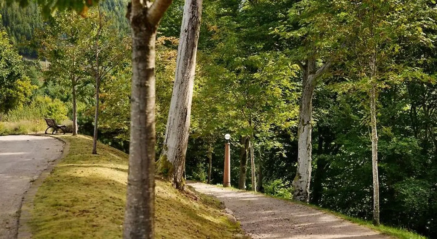 Dollenberg LANDSCAPE