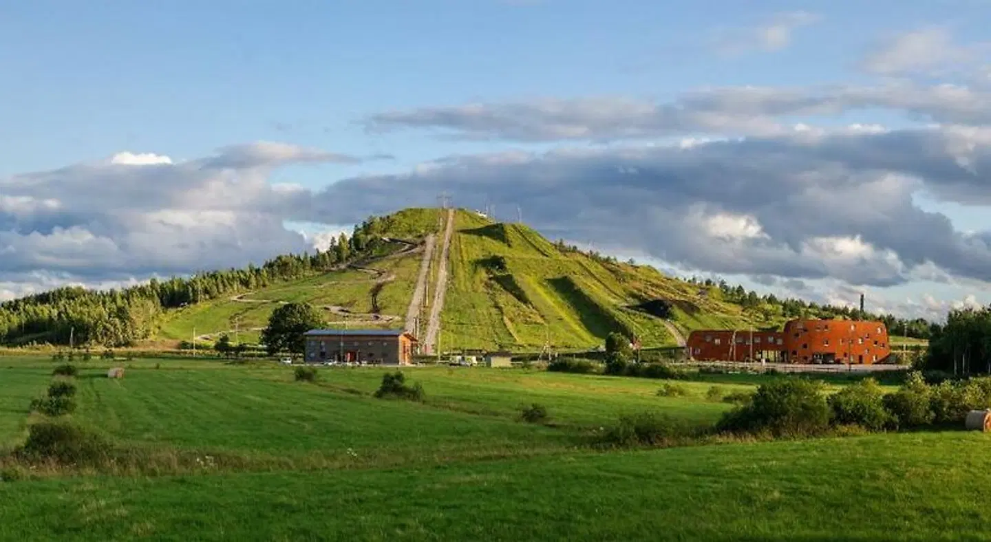 Tuhamäe Hostel LANDSCAPE
