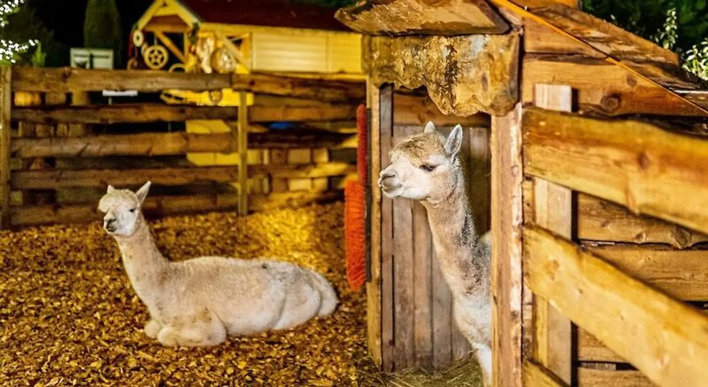 Victor's Seehotel Weingärtner Tiere