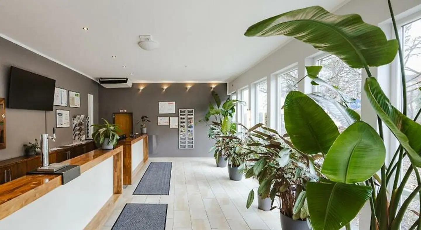 SLEPS - Das Hostel LOUNGE_LOBBY