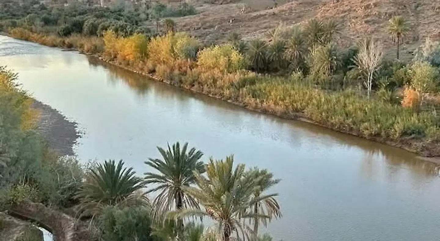 Dar Es Salam LANDSCAPE