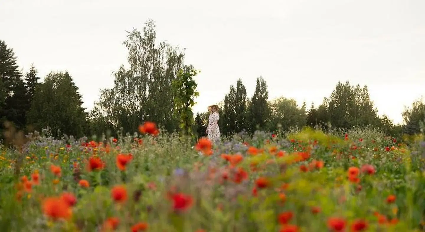 Tertin Kartano Garten