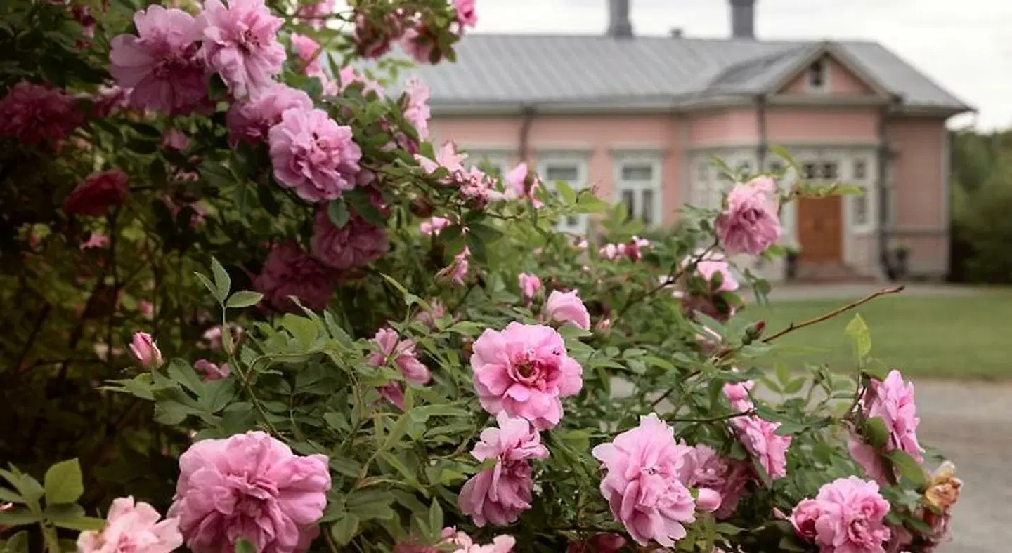 Tertin Kartano Garten