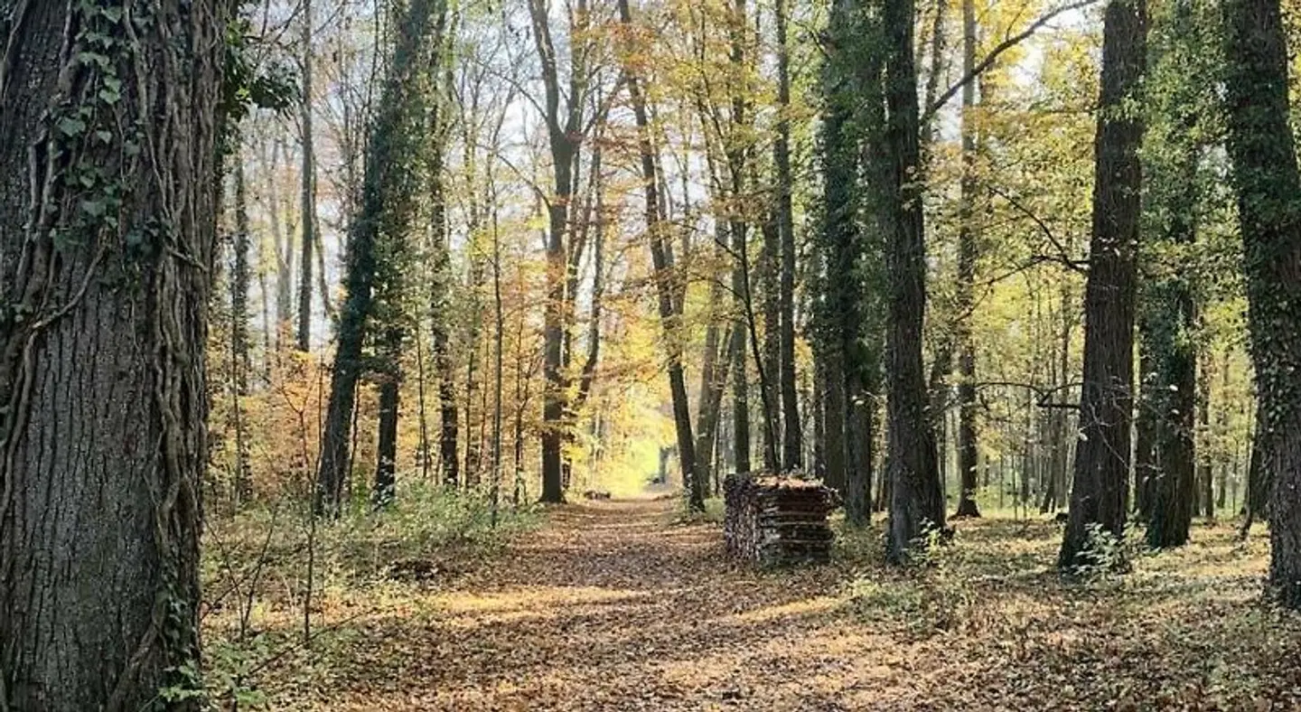 Schloss Burgellern Garten