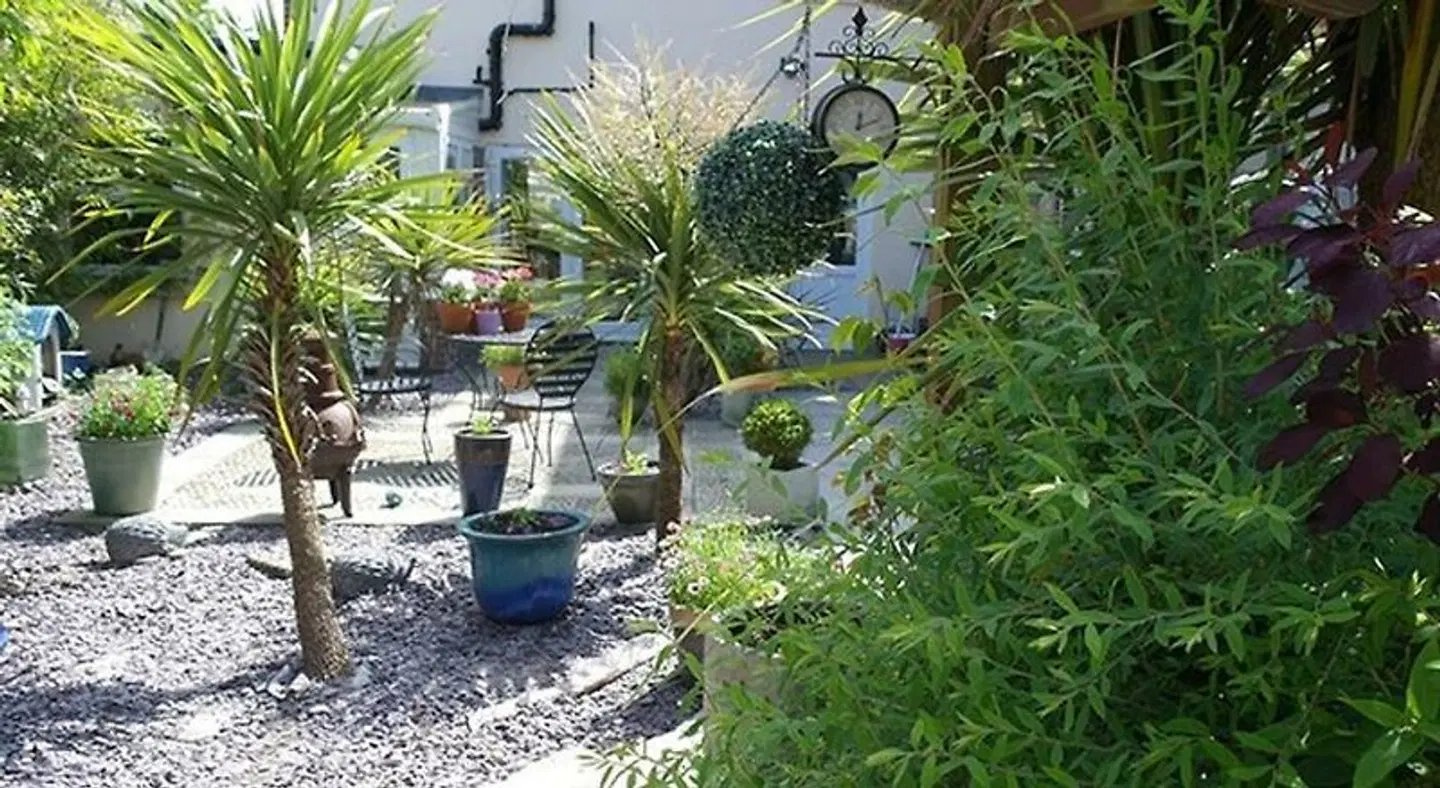 Bay Tree House Garten