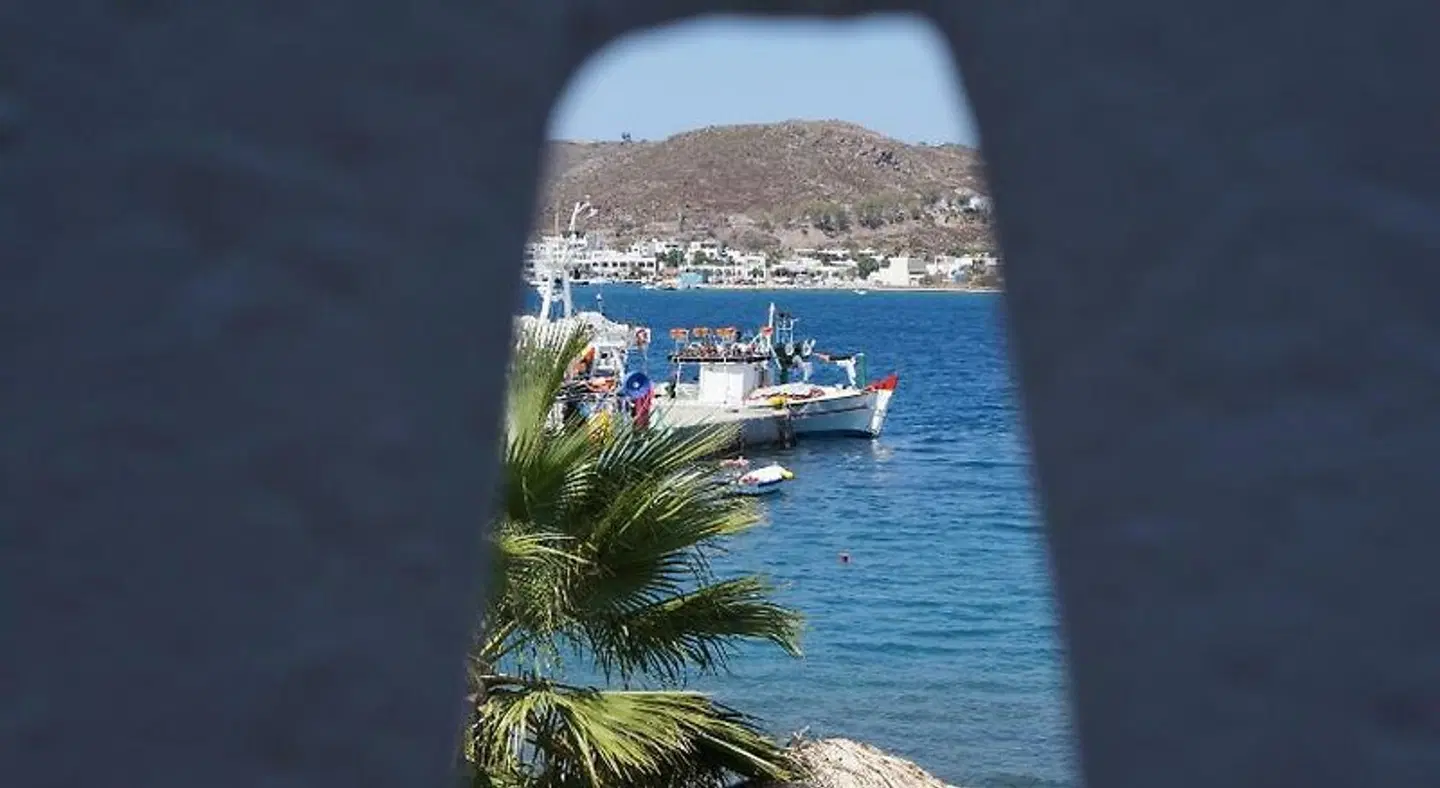 Captain's House LANDSCAPE