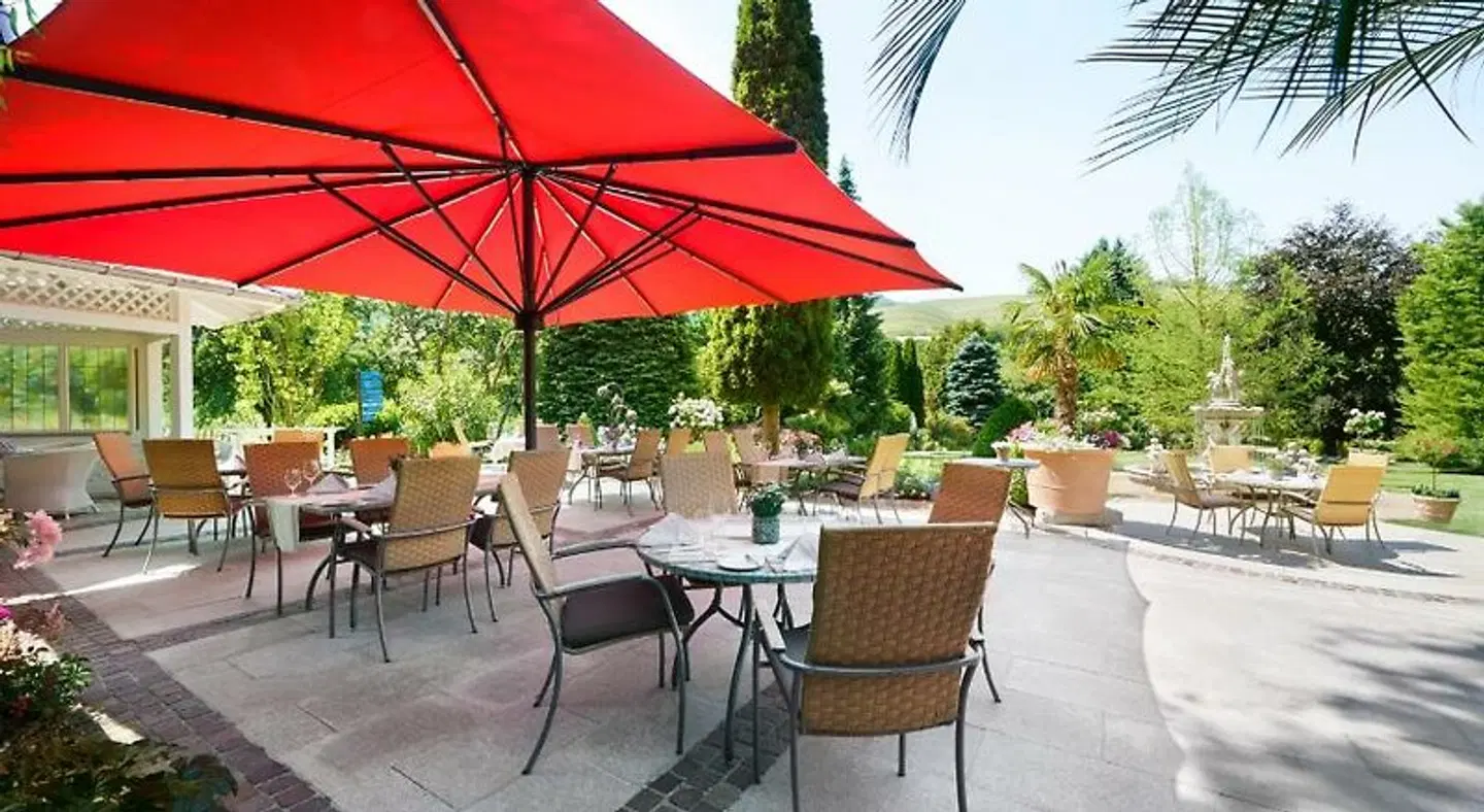 Rebstock Terrasse