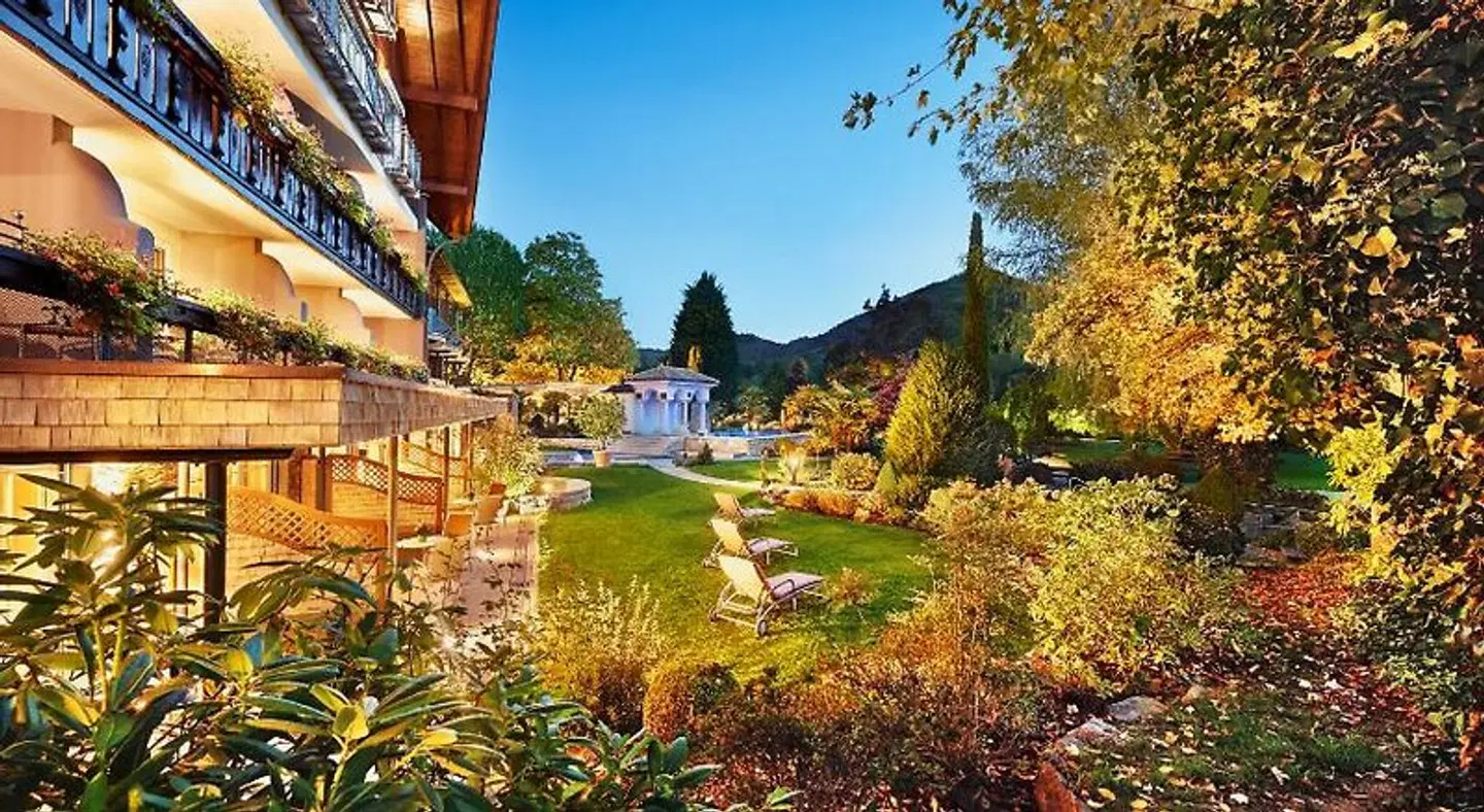 Rebstock Garten
