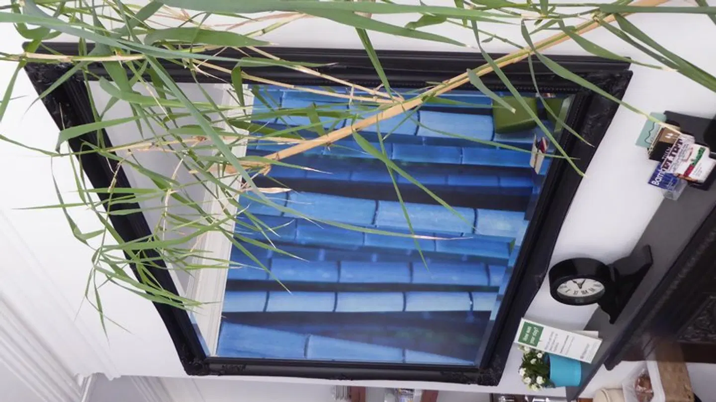 Bamboo Guesthouse MODEL_IMPRESSION
