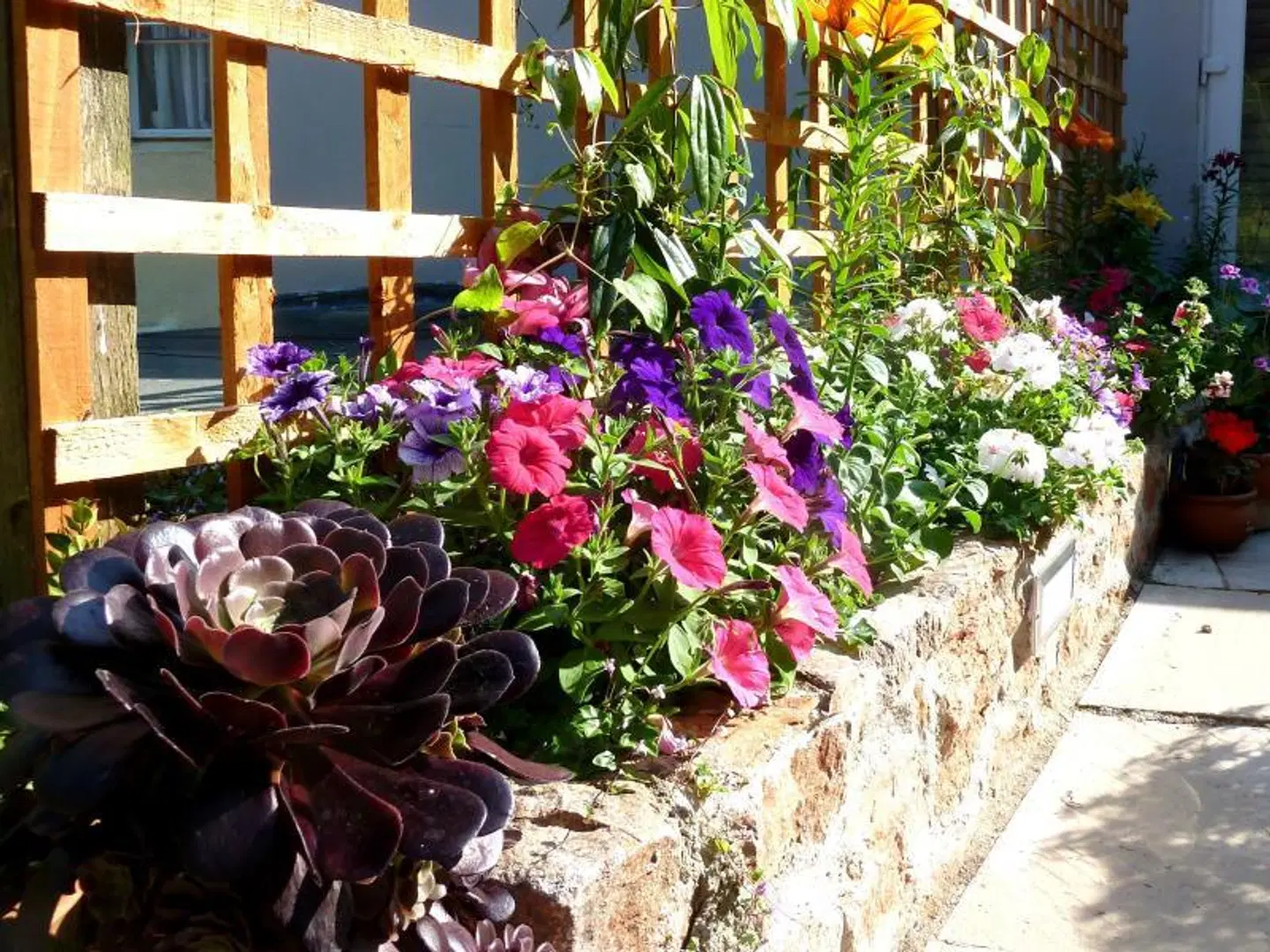 The Somerville Garten