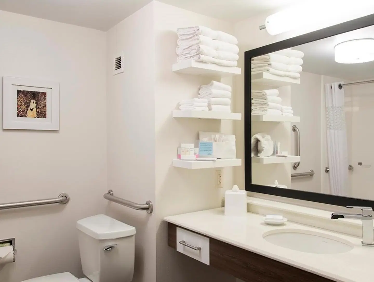 Hampton Inn Seymour Badezimmer