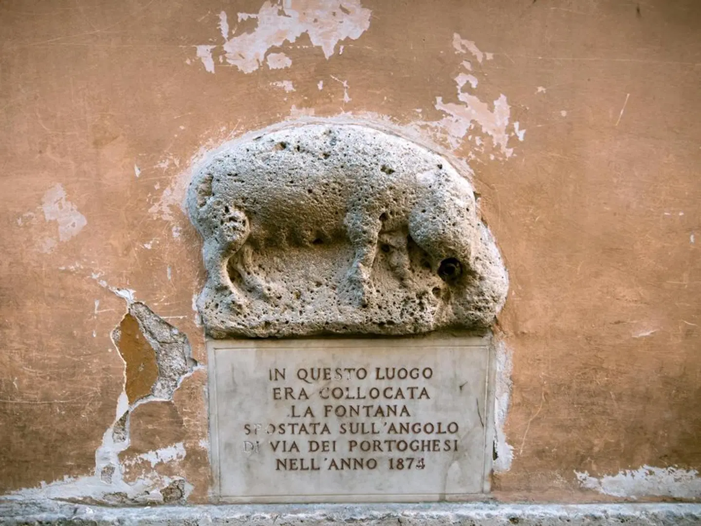 Assunta Domus Tiere