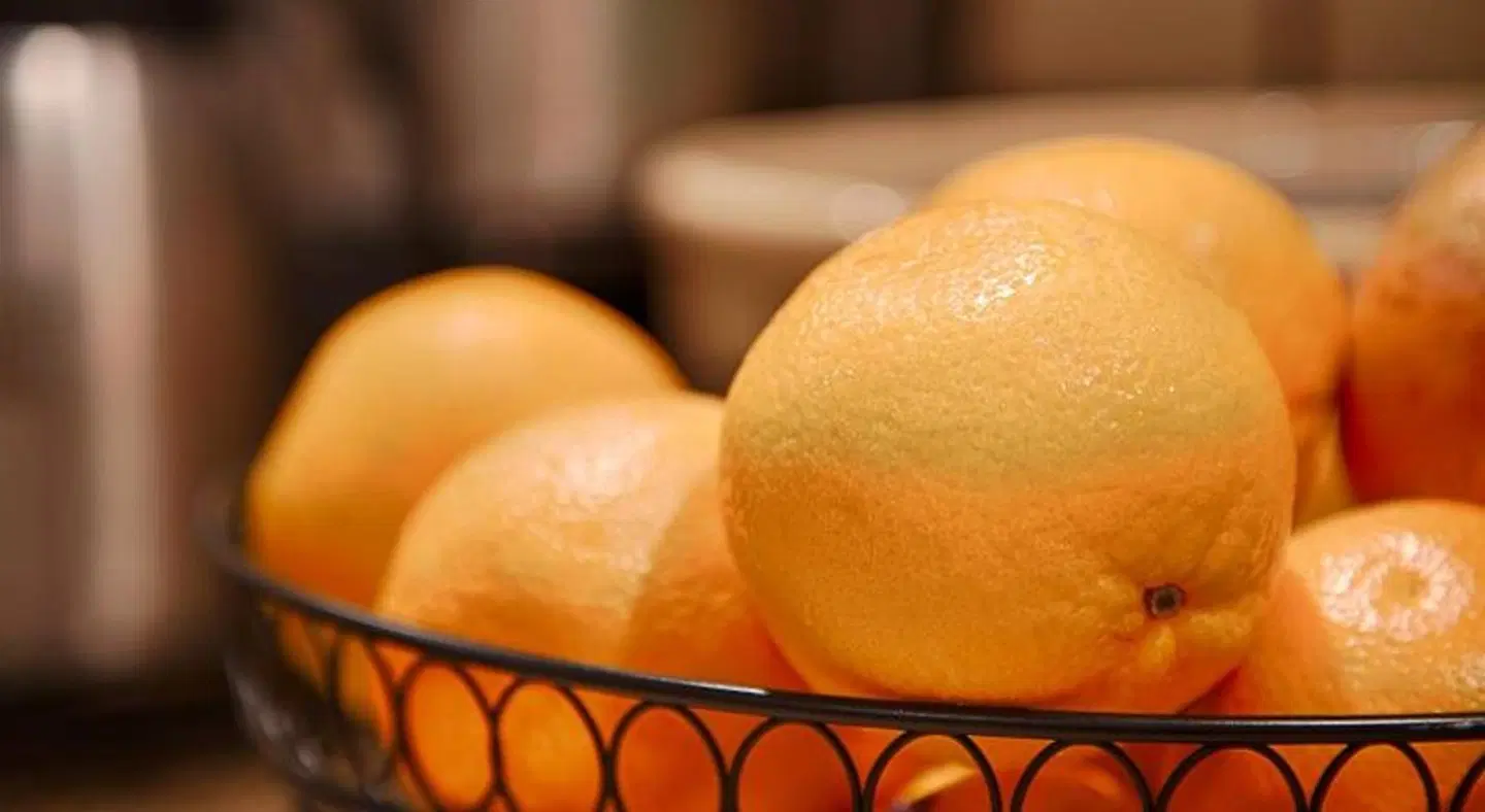 Best Western Inn Konferenz