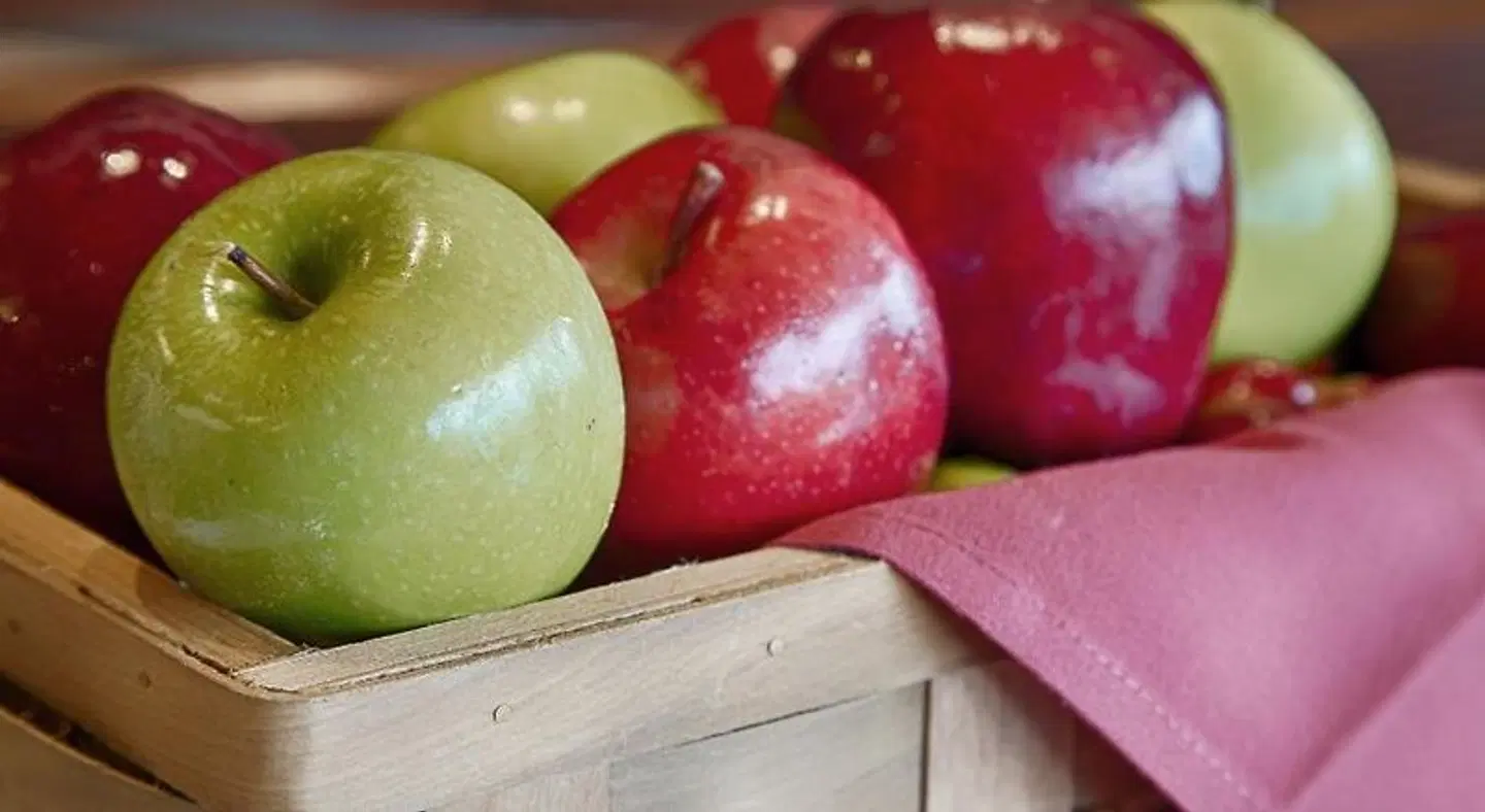 Best Western Inn SPORTS_AND_LEISURE