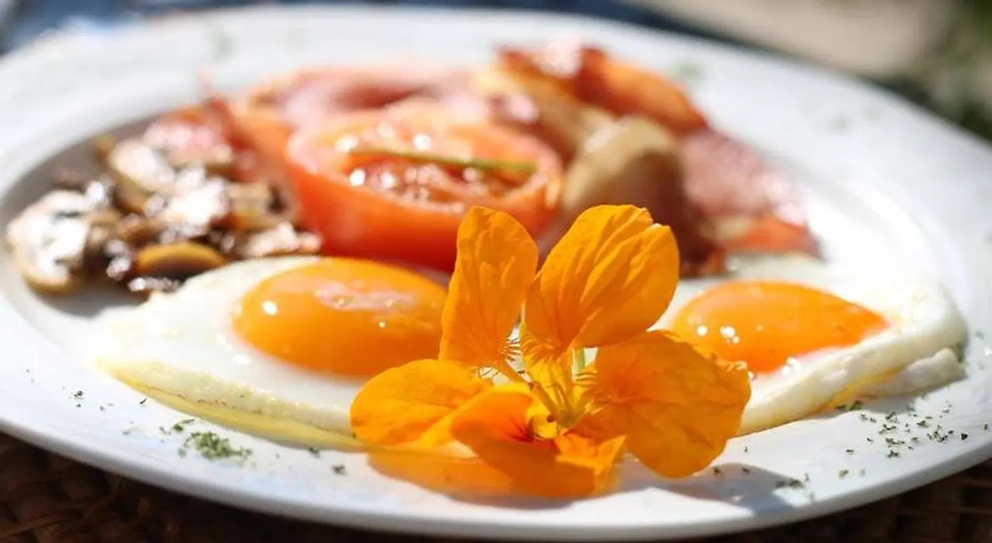 Albourne Guesthouse Restaurant